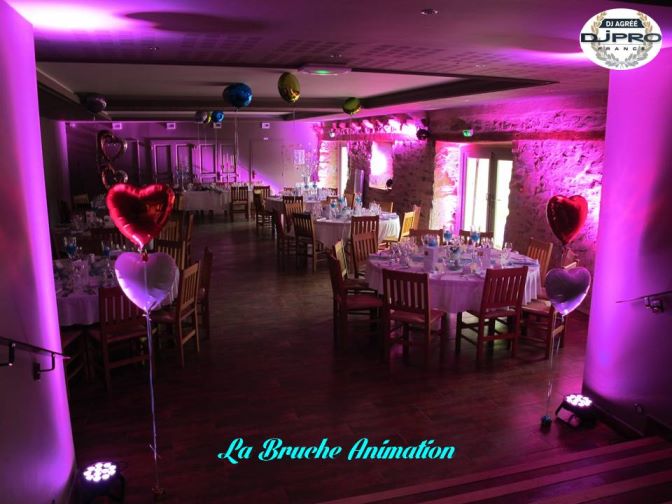 DJ LA BRUCHE ANIMATION