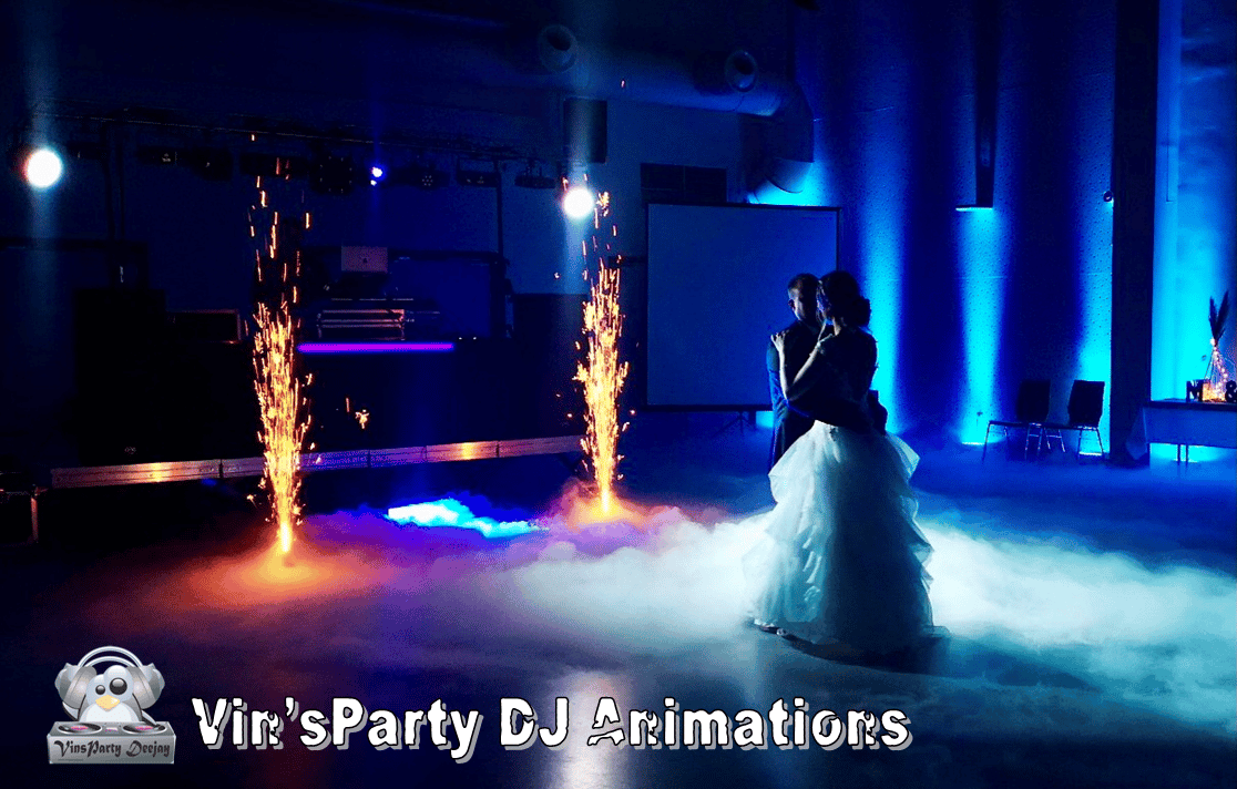 Vin&rsquo;sParty DJ Animations